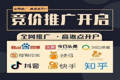 百度品牌专区推广的成效与案例